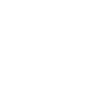 Data Icon